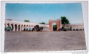 belle CPSM format CPA Afrique Algérie Colomb Béchar La Place des Chameaux