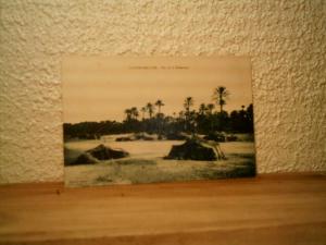 CP ALGERIE COLOMB BECHAR  FIN DE LA PALMARAIE