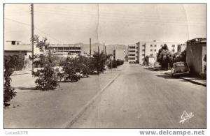 212 /COLOMB  BECHAR / UN BOULEVARD DE LA NOUVELLE VILLE