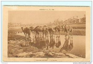 COLOMB BECHAR / la Rivuère / Agenda P.L.M.1930 / dromadaire