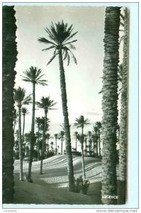 COLOMB - BECHAR / Vue sur les Dunes / Béchar