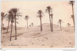 colomb-béchar les dunes