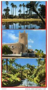 Lot de 3 cartes-BECHAR-L'Oued,Hôte l TRANSAT,Palmeraie(Edition s BELLALI/JEFAL/AU MUSEE SAHARIEN)