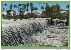 1003 Colomb Bechar l Oued