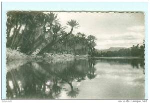 COLOMB BECHAR - Vue vers l' Oued