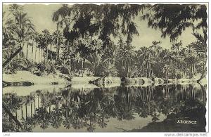 - COLOMB-BECHAR - REFLETS SUR L'OUED BECHAR -