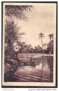 ALGERIE - Colomb Bechar - La rivière