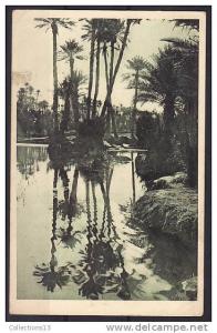 ALGERIE - Colomb Bechar - La rivière