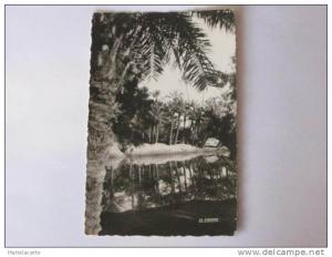 M760 -  colomb bechar la palmerie