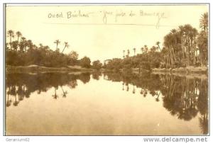 CPA photo Algerie OUED BECHAR