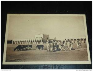 COLOMB BECHAR - LA PLACE LUTAUD - AVEC DES ANES - AFRIQUE ALGERIE