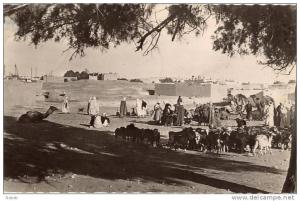 NK-CB 002-Algérie-Colomb-Béchar -Une Caravane-Animation-