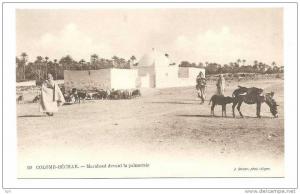 ALGERIE  colomb  béchar  marabout devant la palmeraie