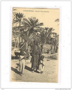 COLOMB-BECHAR_Un coin de la Palmeraie