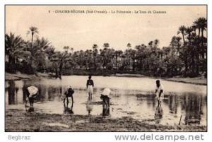COLOMB BECHAR       8   LA PALMERAIE      LE TROU DU CHAMEAU