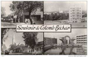 CPSM Algérie - Souvenir de Colomb- Béchar (Editeur J.Sebban )