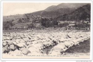 CPA Bougie Bejaia Algérie grande prière Sebha ou Achrine (27 ème jour Ramadan) 5 ème phase édit A. Caravano n°81