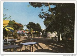 Bejaia -(ex Bougie-) -Tichy-La Grande Terrasse de la Brasserie-Bakhti,Oran--Ci rculé-RéfAlg 21