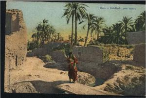 oasis a bab darb, pres Biskra