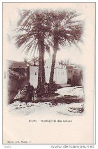 Algérie - M146 - Biskra - Marabout de Sidi Lahsern - bon état général