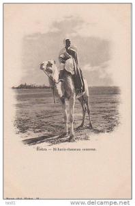 Algérie - M152 - Biskra - Méharis - Chameau courreur - bon état général