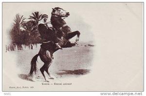 Algérie - M153 - Animaux - Chevaux - Biskra - Cheval cabrant - bon état général
