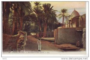 Algérie  - Z744 - Biskra - Marabout de Sidi-Lassen - bon  état