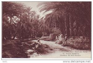 Algérie  - Z745 - Biskra - Chemin de Sidi-Barkat - bon  état