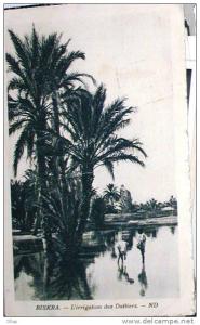 BISKRA L'IRRIGATION DES DATTIERS AFRICA FRANCESE EDITE POUR HOTEL TRANSATLANTIQU USATA 1925