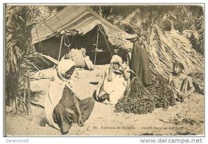 CPA Algerie BISKRA (gourbi)