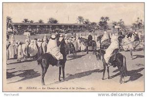 ALGERIE.BISKRA.LES CHAMPS DE COURSES ET LES TRIBUNES editeur LL avec usure sur la vue