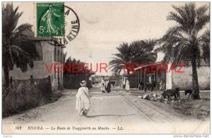 BISKRA       162     LA ROUTE DE TOUGOURTH AU MOULIN