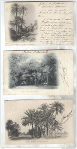 3 CPA BISKRA  EN 1902