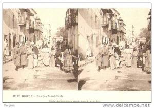 7536 - BISKRA (ALGERIA) - Rue des Ouled-Nayls