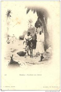 ALGERIE * BISKRA - Cueillettes des Dattes