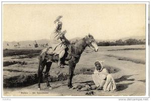 ALGERIE  BISKRA  UN FAUCONNIER