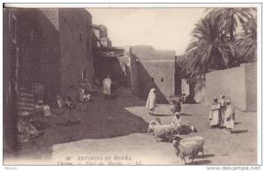 111-Biskra-Algeria-Piazza del Mercato-Tema Animali. pecore-Bollo Constantine 13-4-1919.