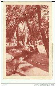 DANS LE VIEUX BISKRA  AU DOS  BUVEZ DU VIN D ALGERIE OFFICE ALGERIEN  D ACTION ECONOMIQUE