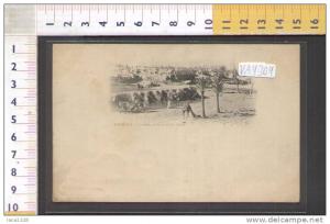 VA4304 ALGERIA BISKRA KASBA FORT TURK CAMMELLI PANORAMA