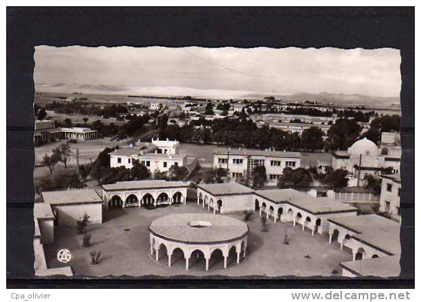 ALGERIE Colomb Béchar Ecole des Filles, Vue Générale, ed Sirecky 2, CPSM 9x14, 1958