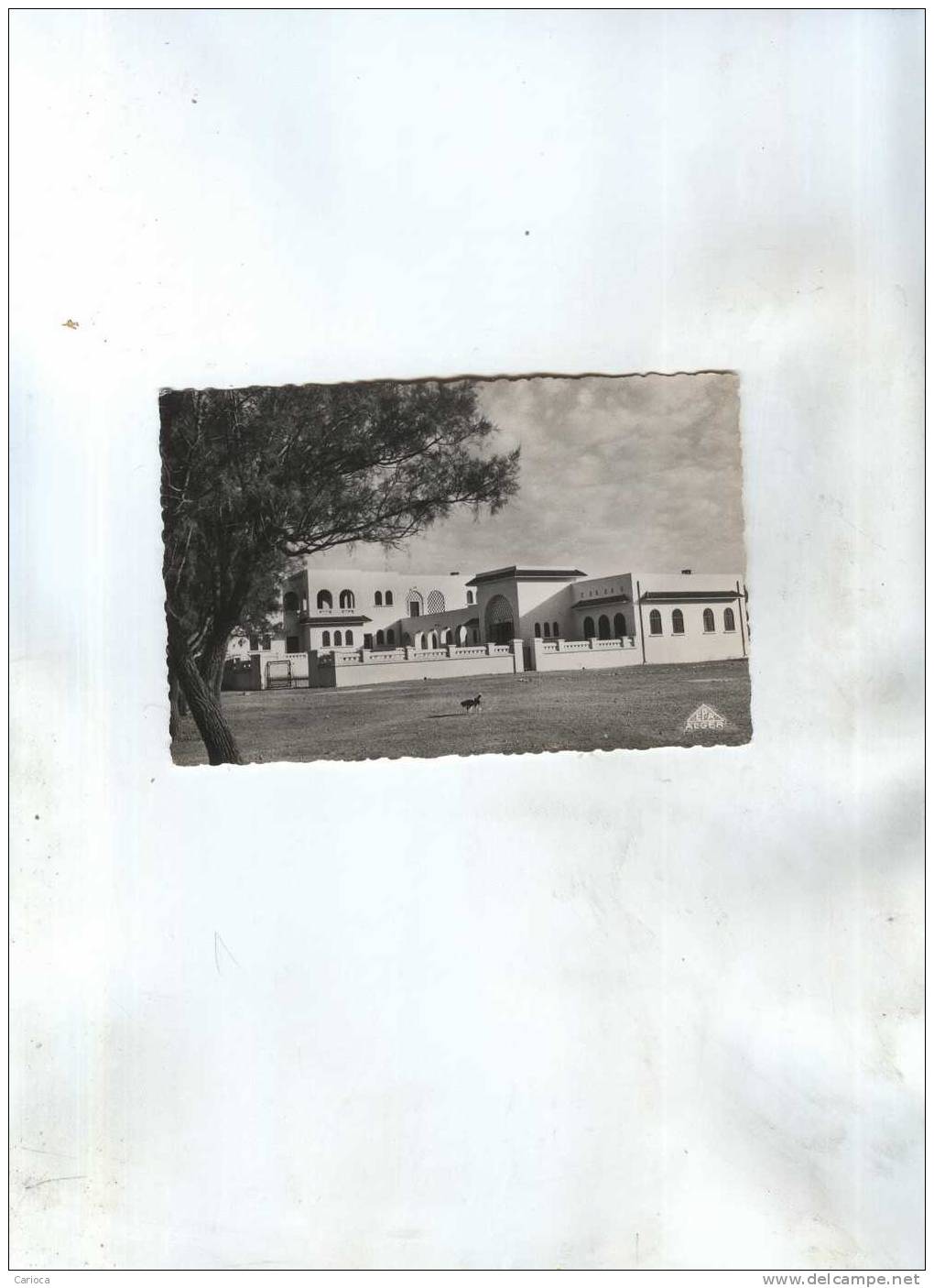 CP COLOMB BECHAR, CENTRE D ACCUEIL