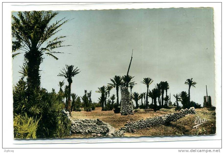 COLOMB BECHAR UNE OASIS