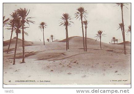 Algérie - Z798 - Colomb-Béchar - Les dunes - J. Geiser N° 42 - état
