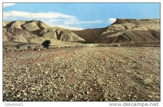 BECHAR ... PISTE DE DJENIEN