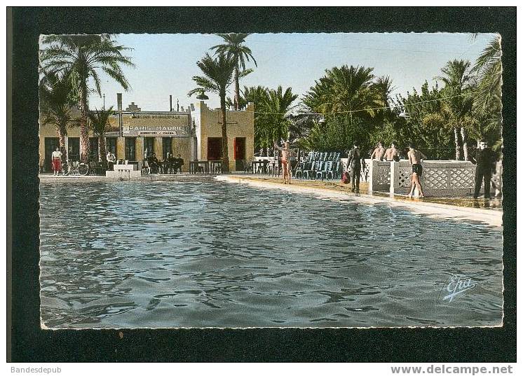 CPSM - Algérie - Collomb Béchar - La Piscine Municipale ( animée Ed. Photos Africaines 176)