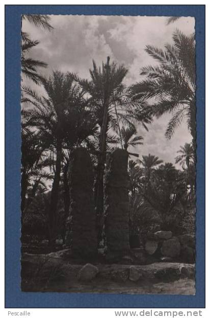 CP COLOMB BECHAR - UN PUITS