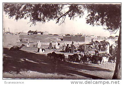 COLOMB BECHAR UNE CARAVANE REF 3558