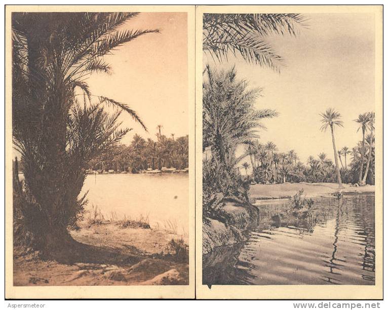 COLOMB-BECHAR LA RIVIERE 2 CPA DIFFERENTE NEUVE NON ECRITE UNCIRCULATED ALGERIE ARGELIA