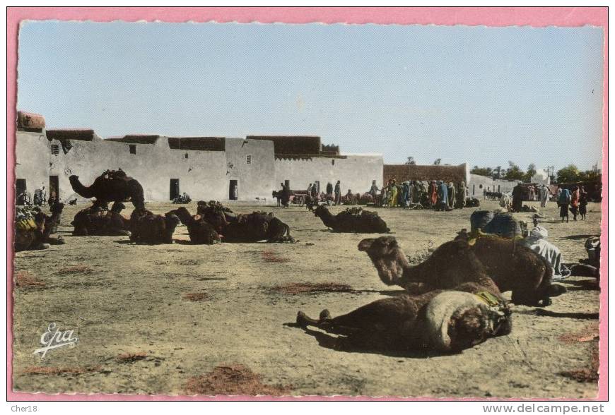 15 Colomb Bechar place des Chameaux