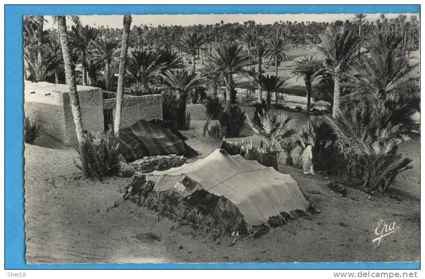 188 Colomb Bechar dans l oasis